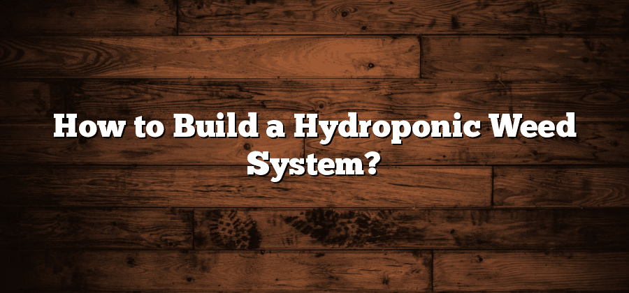 How to Build a Hydroponic Weed System?