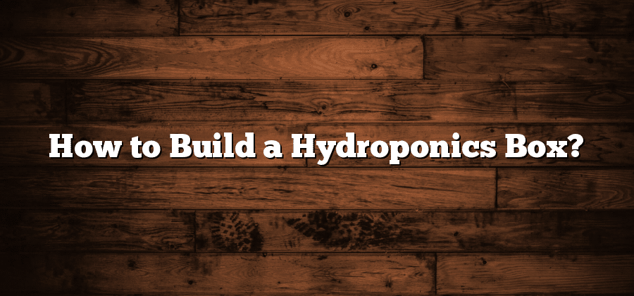 How to Build a Hydroponics Box?