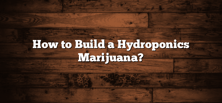 How to Build a Hydroponics Marijuana?