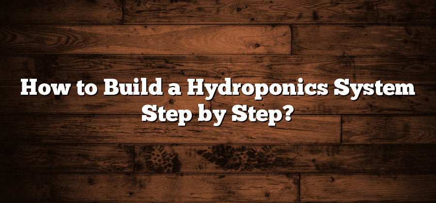 How to Build a Hydroponics System Step by Step?