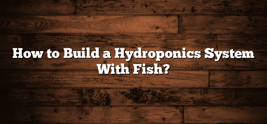 How to Build a Hydroponics System With Fish?