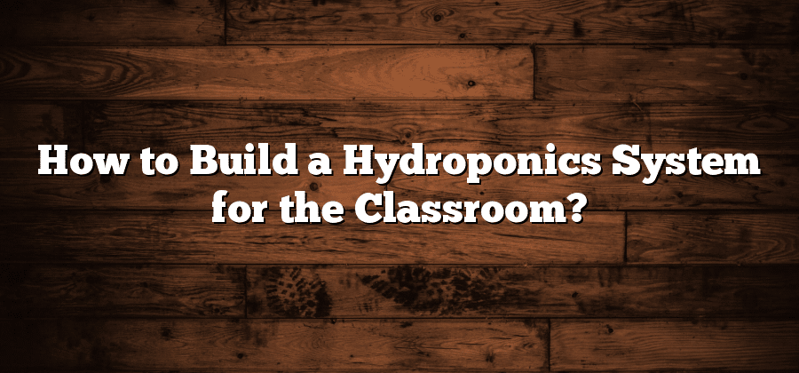 How to Build a Hydroponics System for the Classroom?