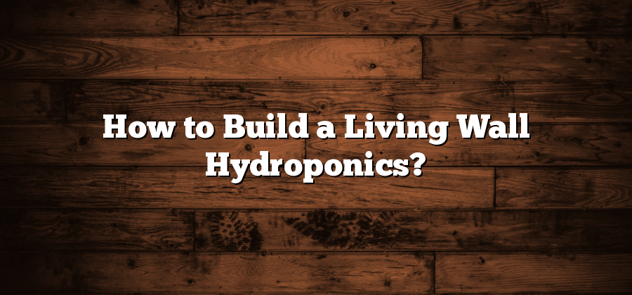 How to Build a Living Wall Hydroponics?