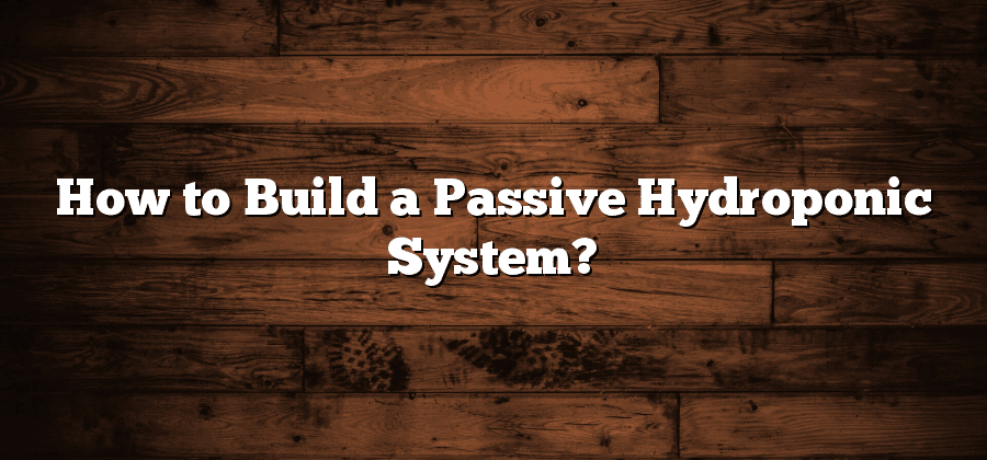 How to Build a Passive Hydroponic System?