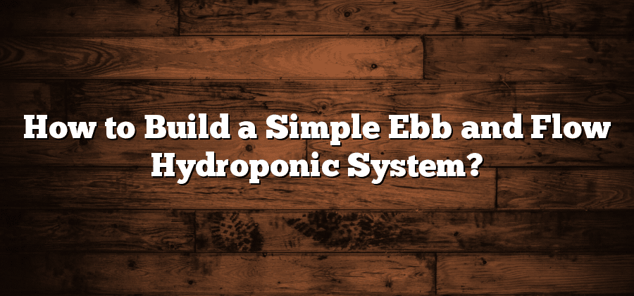 How to Build a Simple Ebb and Flow Hydroponic System?