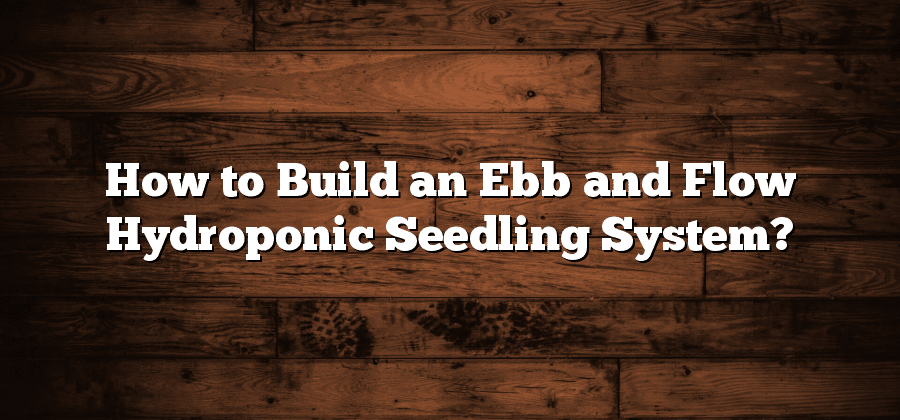 How to Build an Ebb and Flow Hydroponic Seedling System?