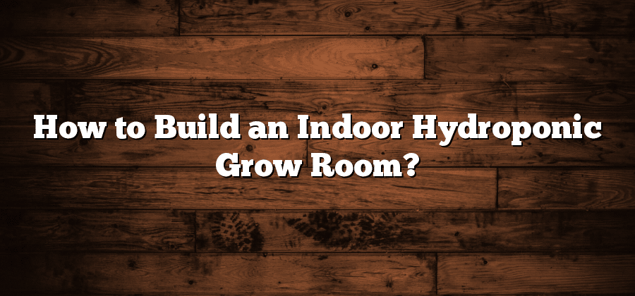 How to Build an Indoor Hydroponic Grow Room?