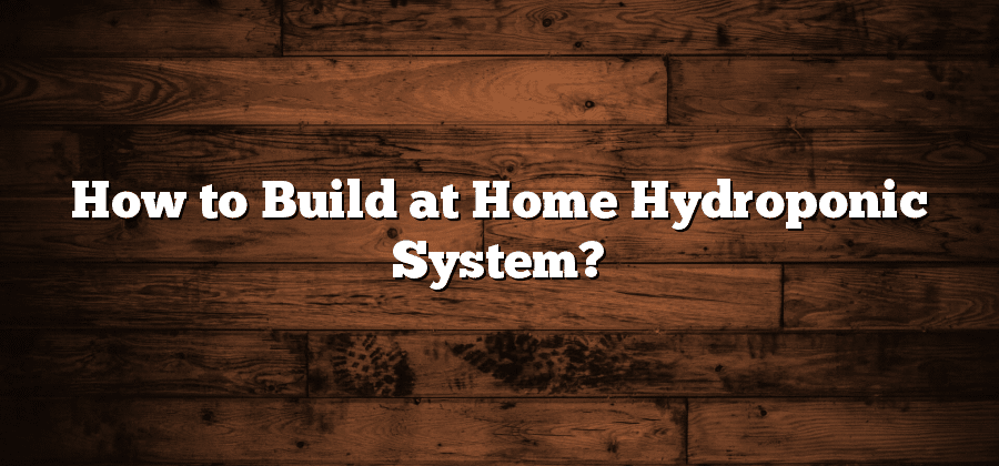 How to Build at Home Hydroponic System?