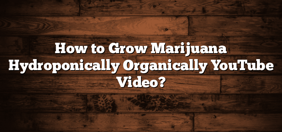 How to Grow Marijuana Hydroponically Organically YouTube Video?