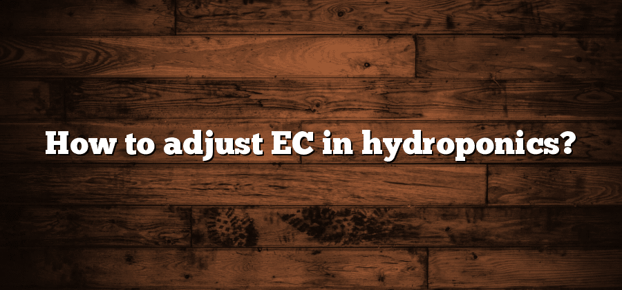 How to adjust EC in hydroponics?