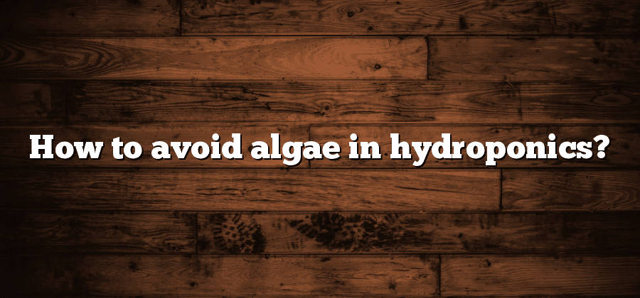 How to avoid algae in hydroponics?