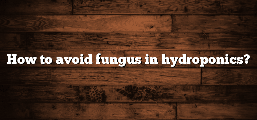 How to avoid fungus in hydroponics?