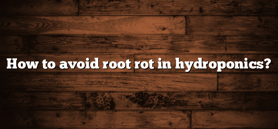How to avoid root rot in hydroponics?