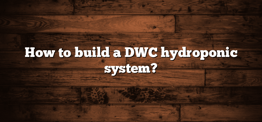 How to build a DWC hydroponic system?
