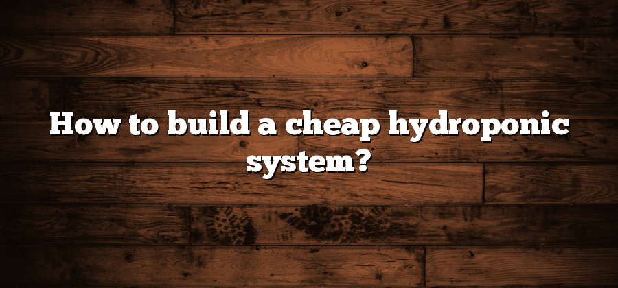 How to build a cheap hydroponic system?