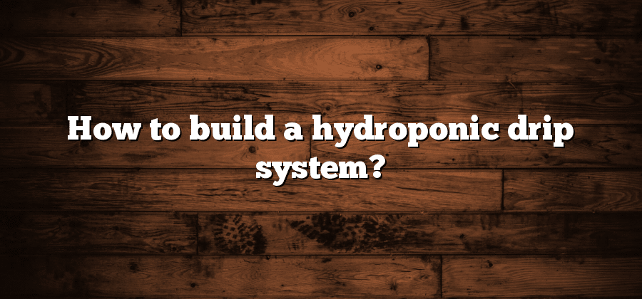 How to build a hydroponic drip system?