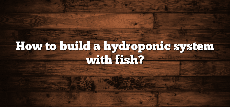 How to build a hydroponic system with fish?