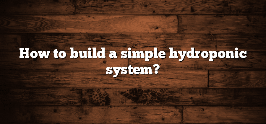 How to build a simple hydroponic system?