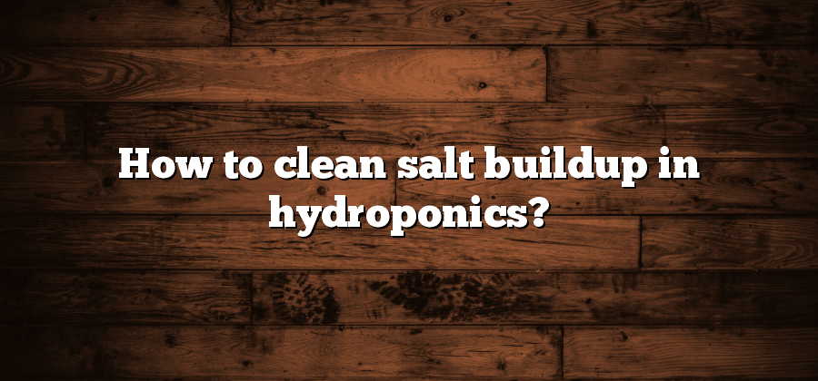 How to clean salt buildup in hydroponics?