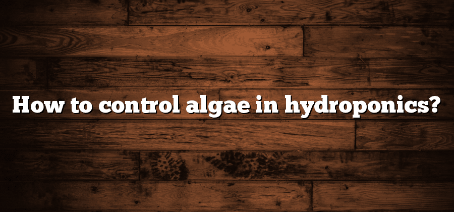 How to control algae in hydroponics?