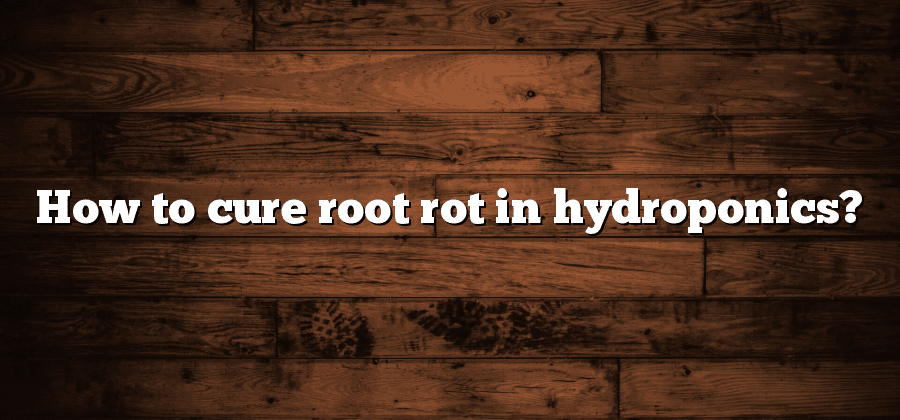 How to cure root rot in hydroponics?