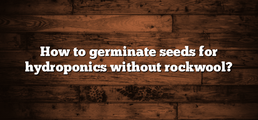 How to germinate seeds for hydroponics without rockwool?