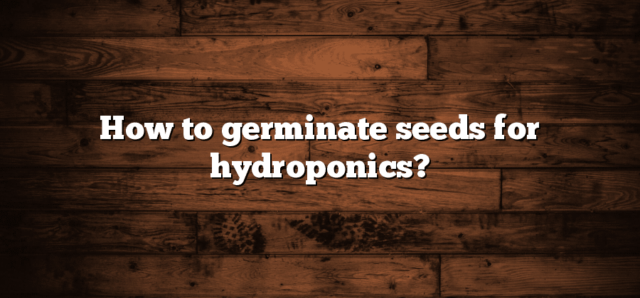 How to germinate seeds for hydroponics?
