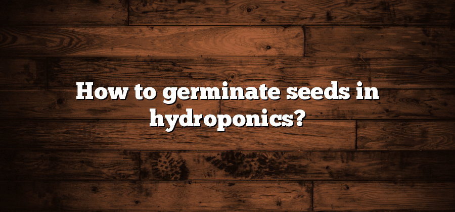 How to germinate seeds in hydroponics?
