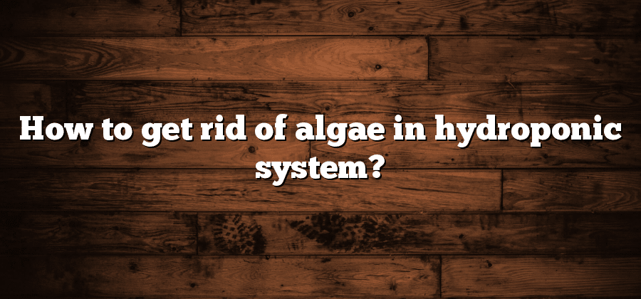 How to get rid of algae in hydroponic system?