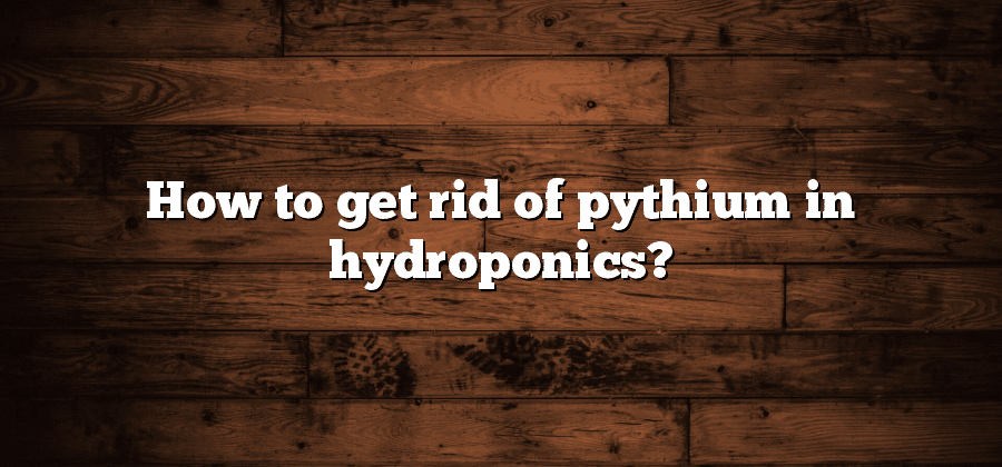 How to get rid of pythium in hydroponics?
