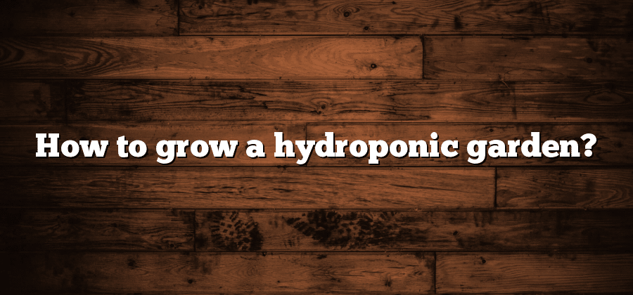How to grow a hydroponic garden?