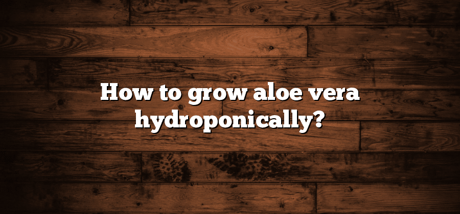 How to grow aloe vera hydroponically?