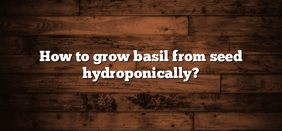 How to grow basil from seed hydroponically?