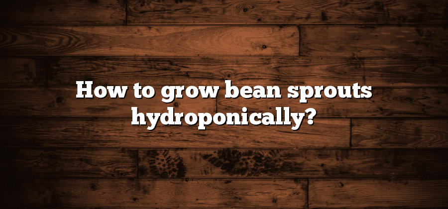 How to grow bean sprouts hydroponically?