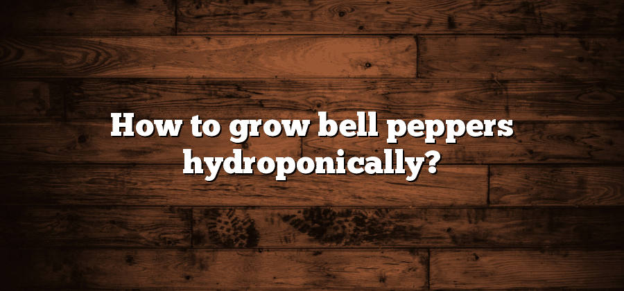 How to grow bell peppers hydroponically?