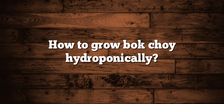 How to grow bok choy hydroponically?
