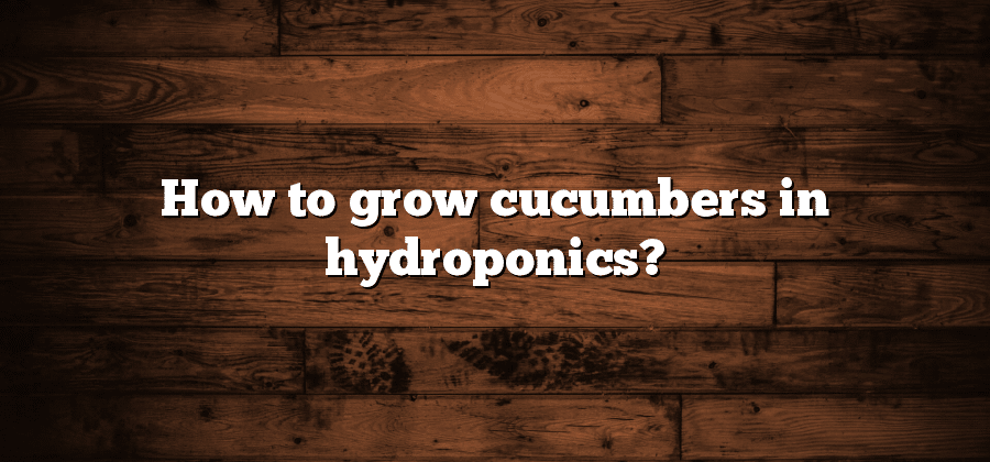 How to grow cucumbers in hydroponics?