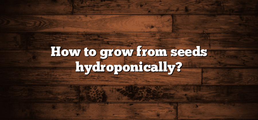 How to grow from seeds hydroponically?