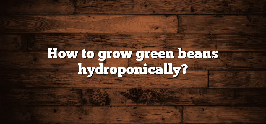 How to grow green beans hydroponically?