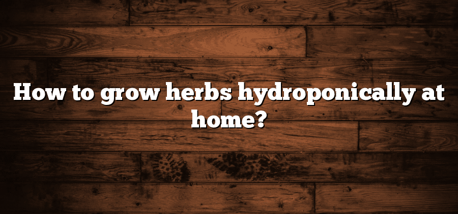 How to grow herbs hydroponically at home?