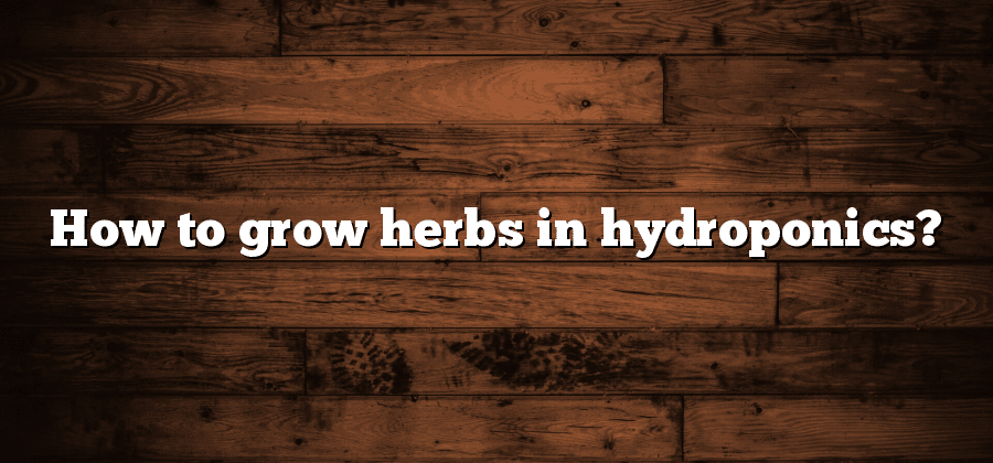 How to grow herbs in hydroponics?