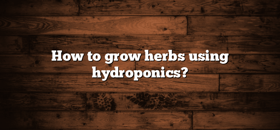 How to grow herbs using hydroponics?