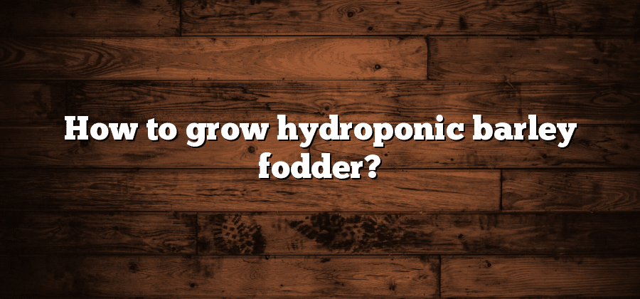How to grow hydroponic barley fodder?
