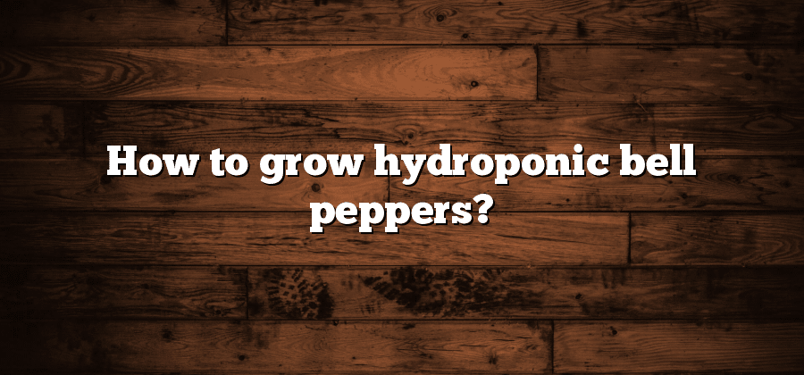 How to grow hydroponic bell peppers?