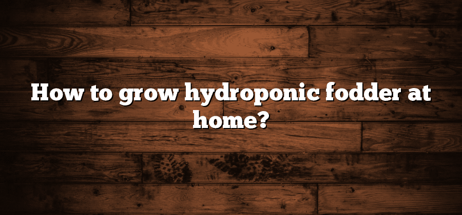 How to grow hydroponic fodder at home?