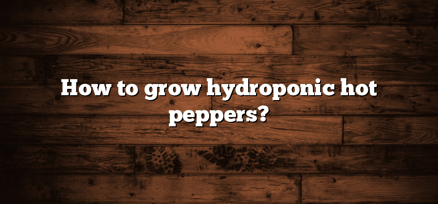 How to grow hydroponic hot peppers?