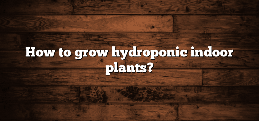 How to grow hydroponic indoor plants?