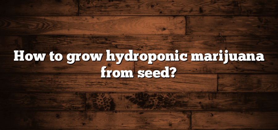 How to grow hydroponic marijuana from seed?