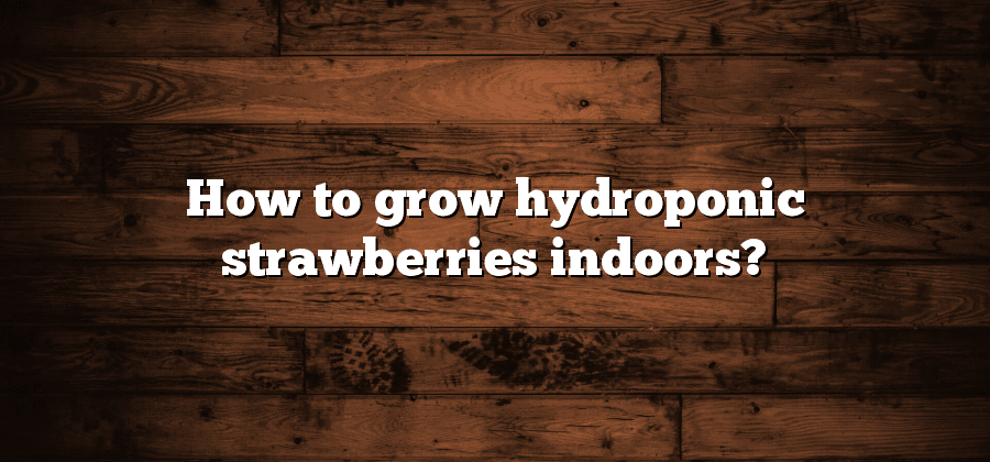 How to grow hydroponic strawberries indoors?