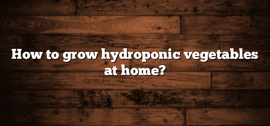 How to grow hydroponic vegetables at home?